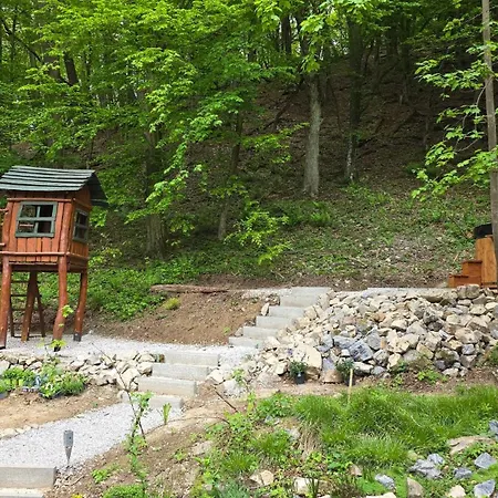 Robinson * 莫德拉