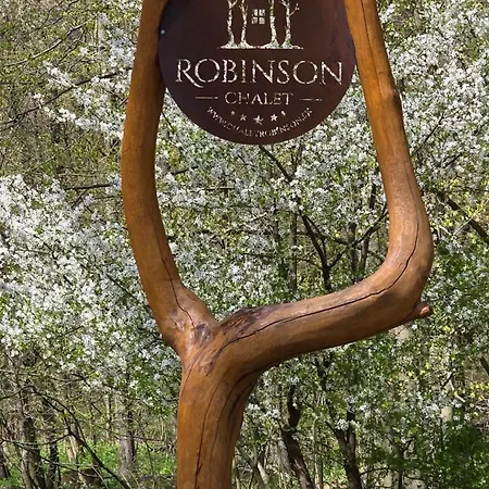 וילה Robinson